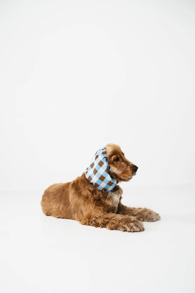 Snood pour chien vichy