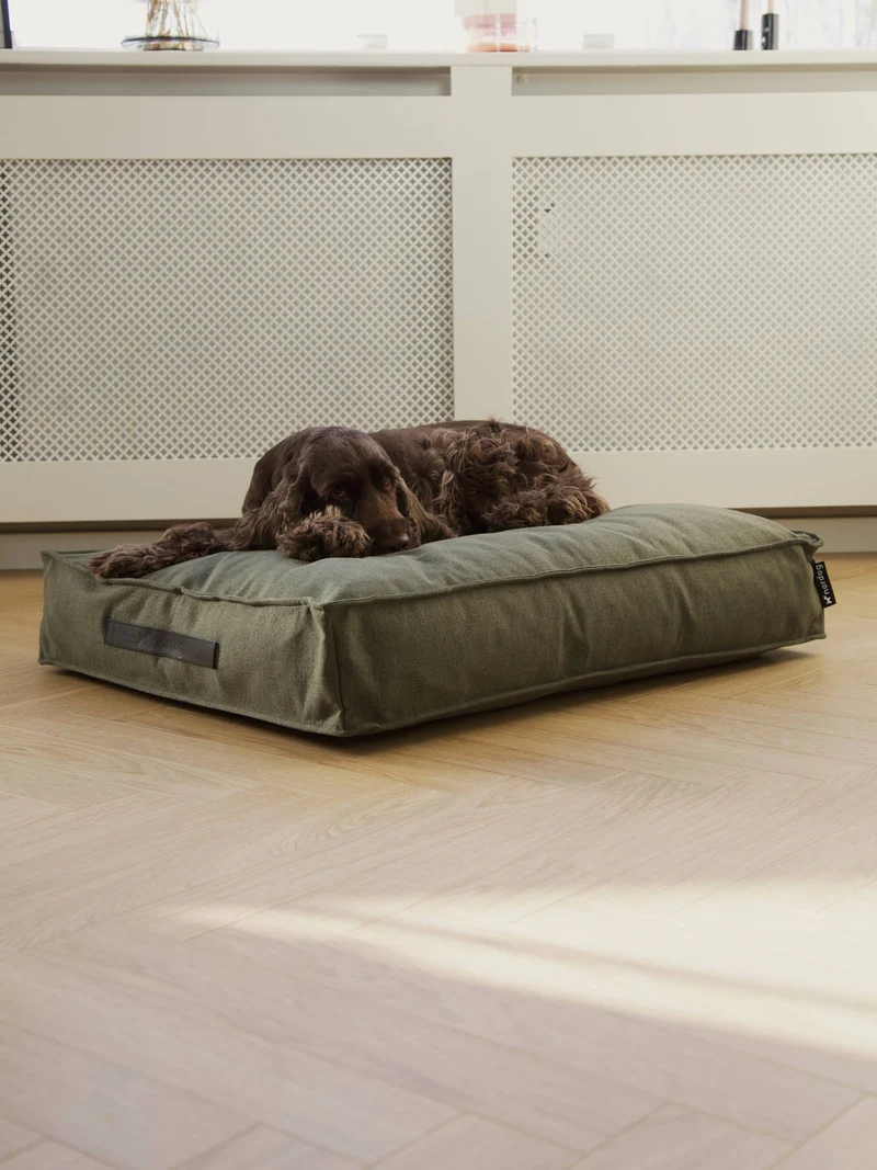 Coussin pour chien Hygge Forrest