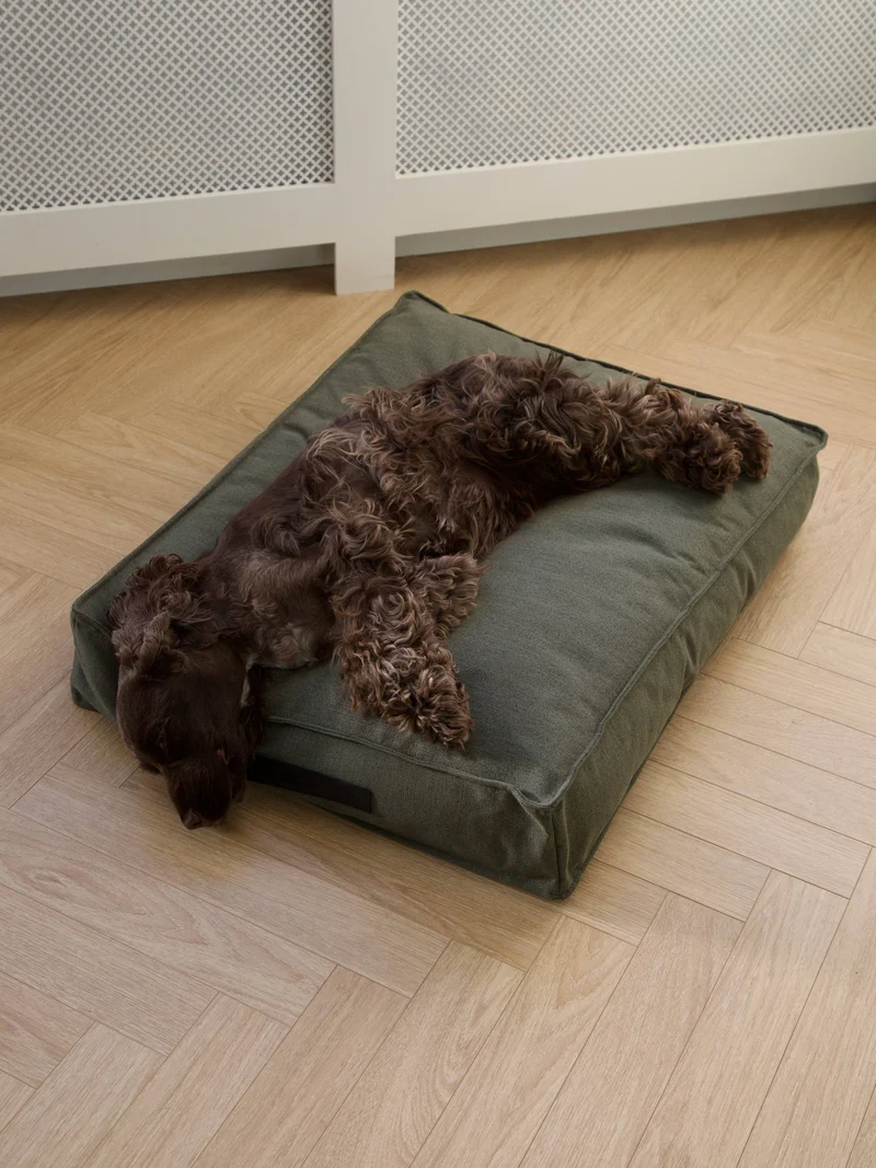 Coussin pour chien Hygge Forrest