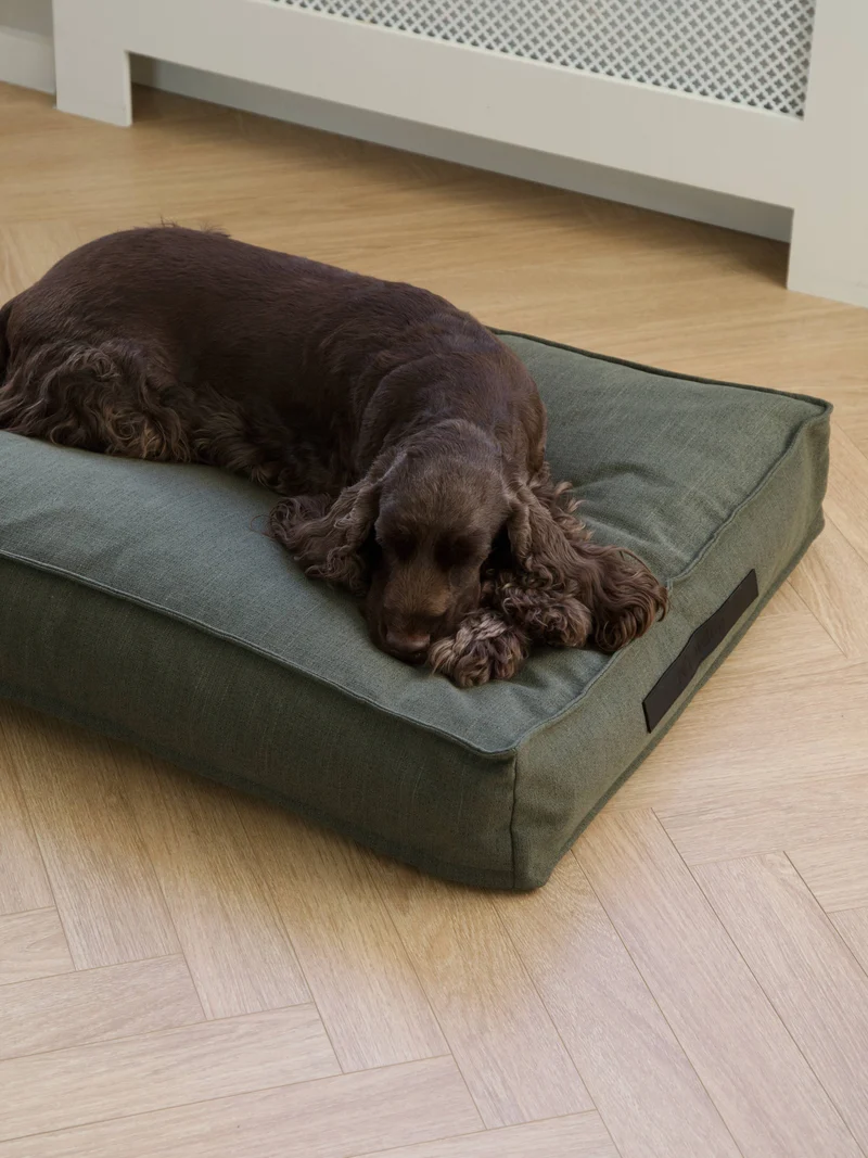 Coussin pour chien Hygge Forrest
