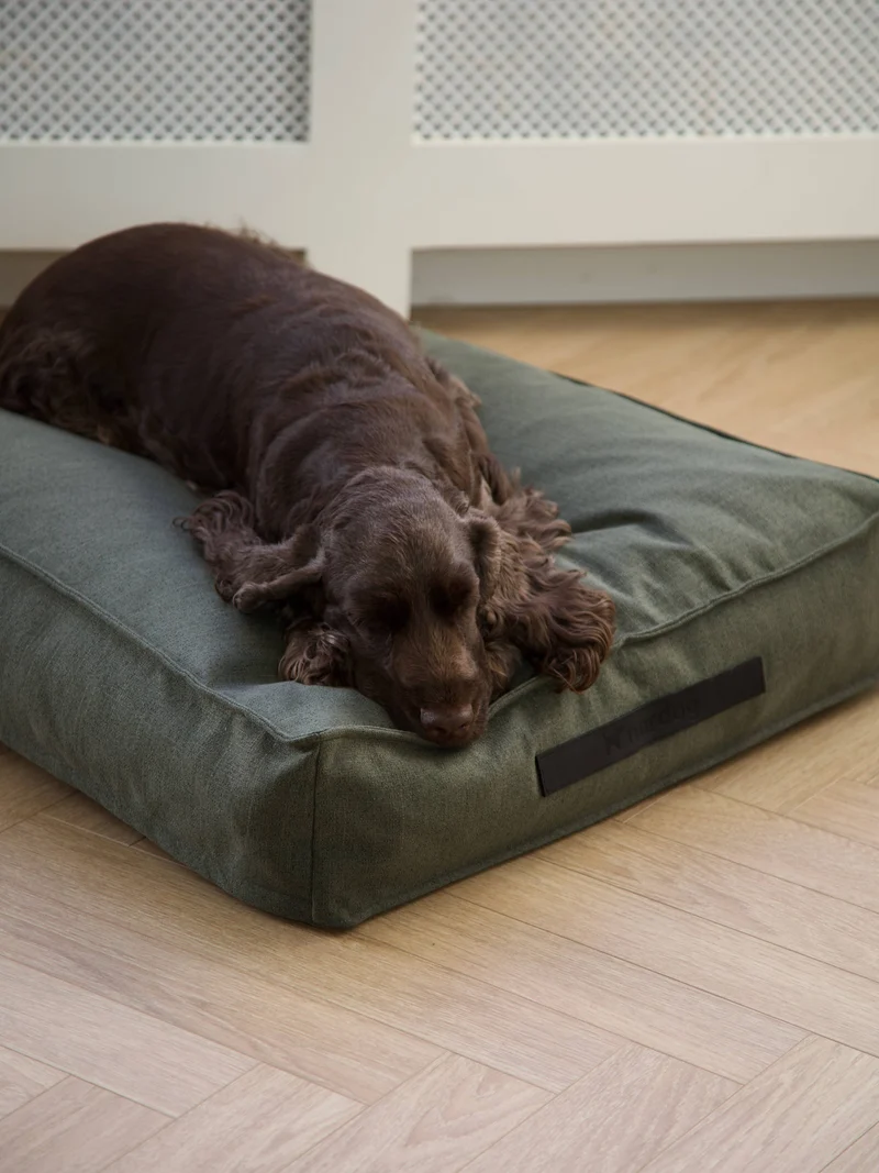 Coussin pour chien Hygge Forrest
