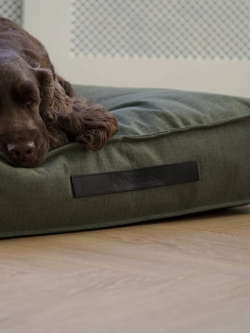 Coussin pour chien Hygge Forrest