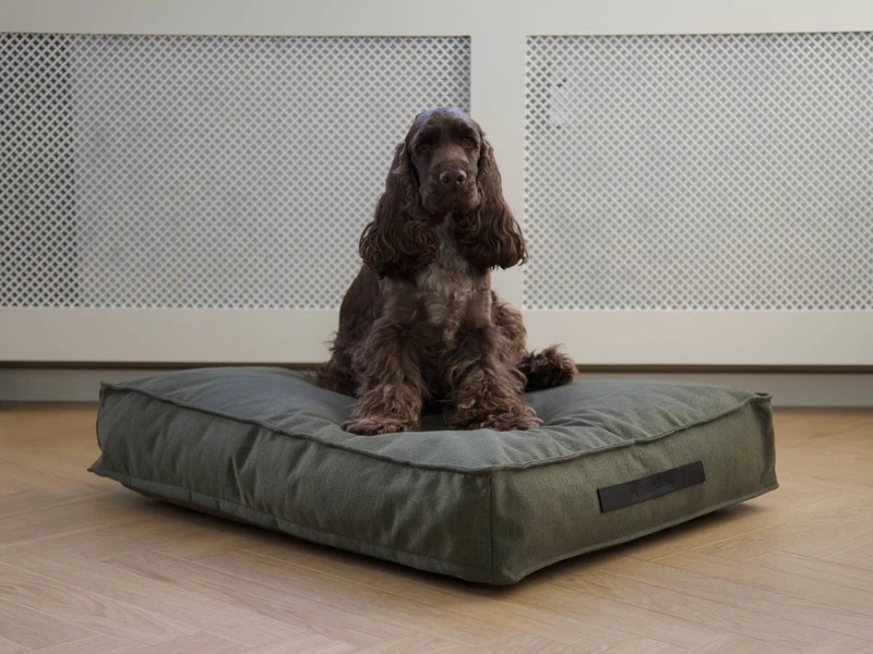 Coussin pour chien Hygge Forrest