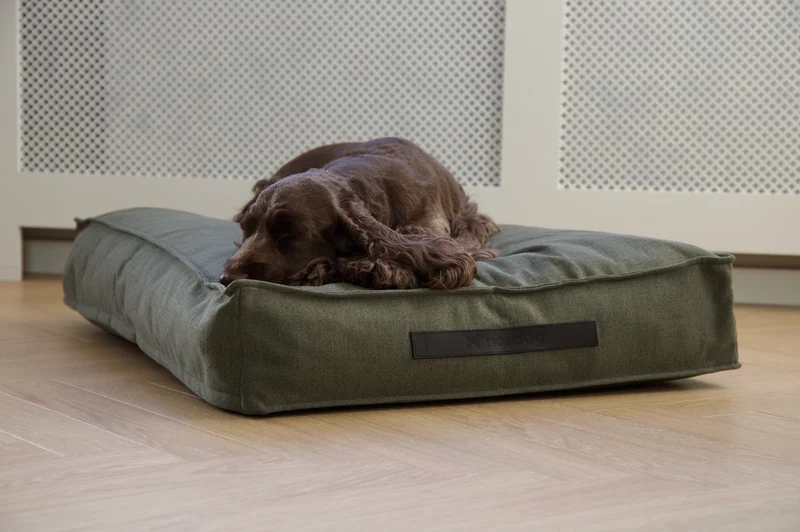 Coussin pour chien Hygge Forrest