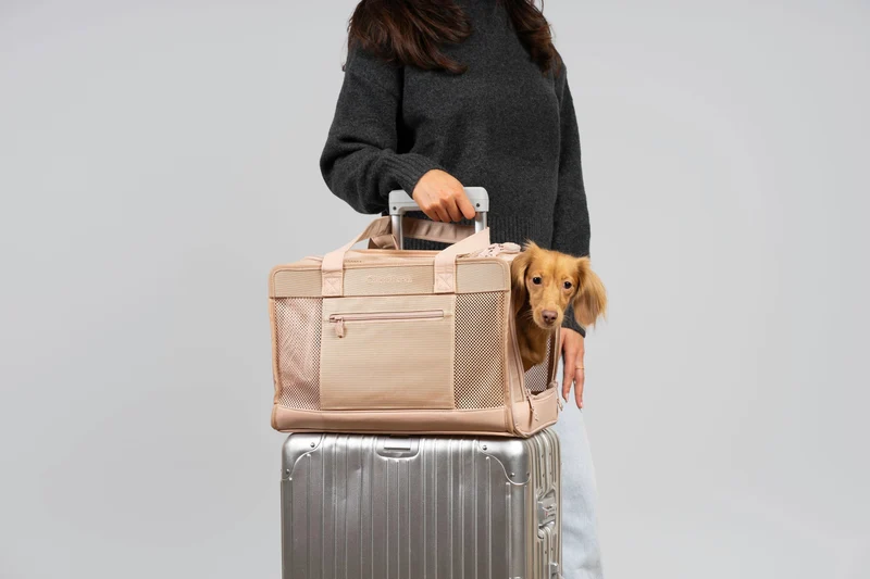 Sac de transport pour animaux Sunburst