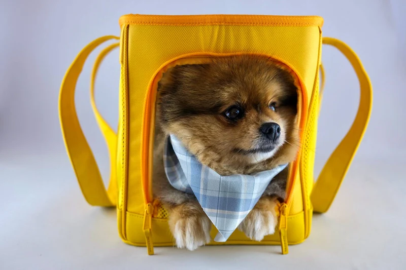 Sac de transport pour animaux Sunburst