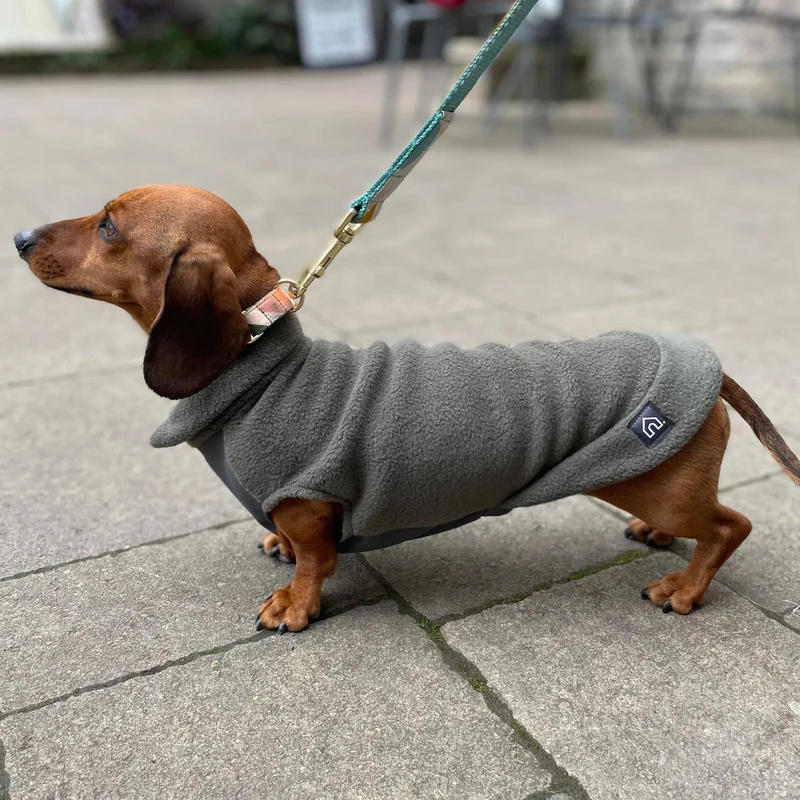 Pull en polaire pour teckel avec panneau imperméable