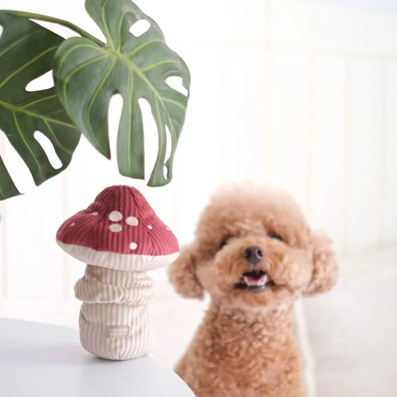 Jouet peluche champignon