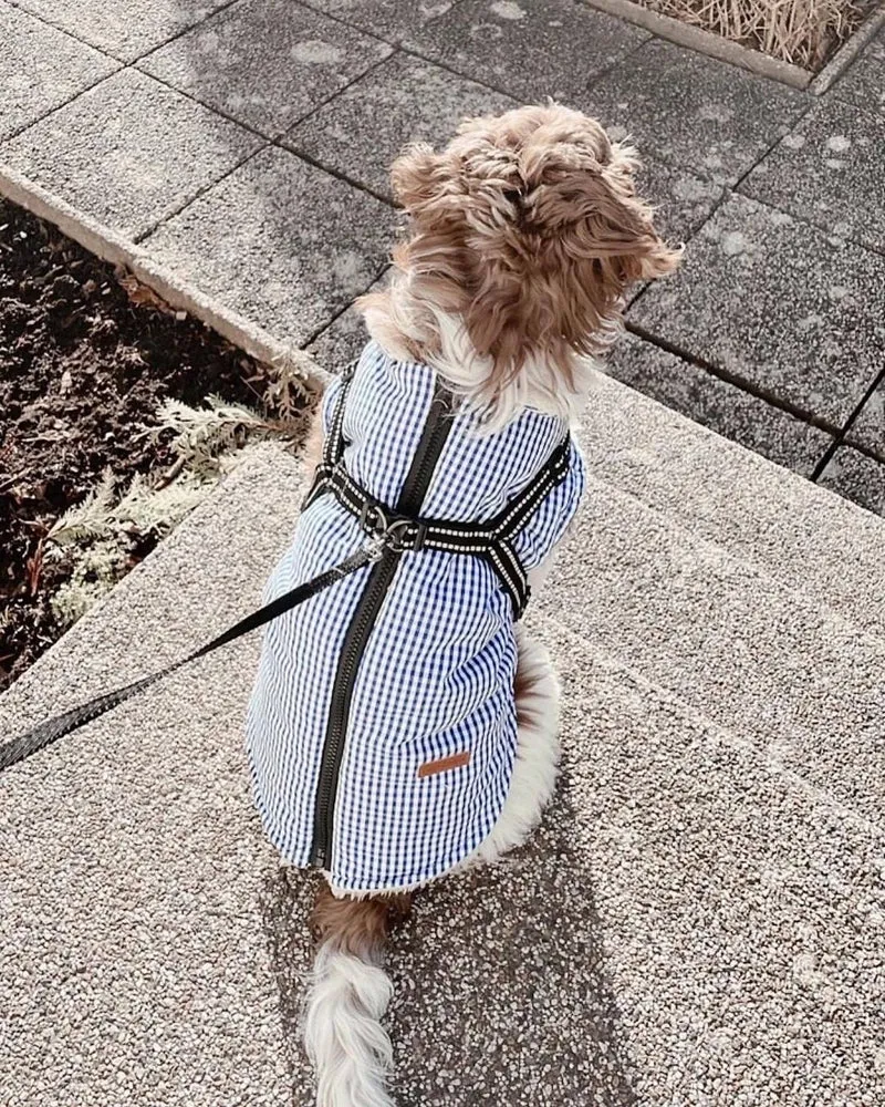 Veste avec harnais intégré Charlie