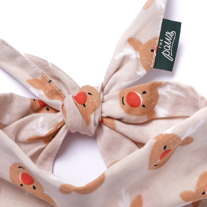 Bandana de Noël Rudolph