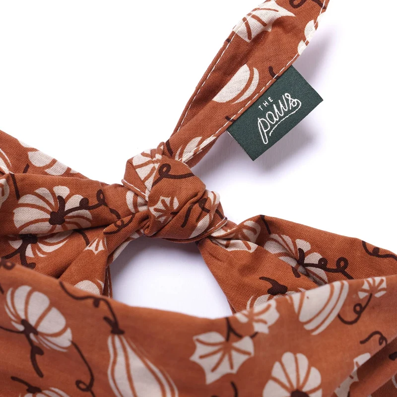 Bandana Citrouilles