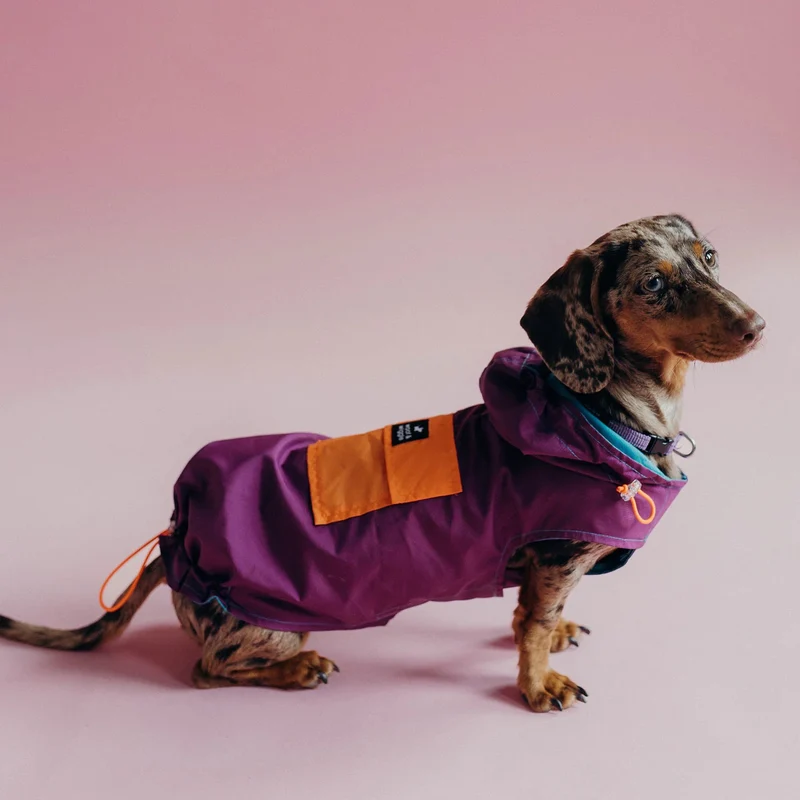 Imperméable tricolore avec capuche