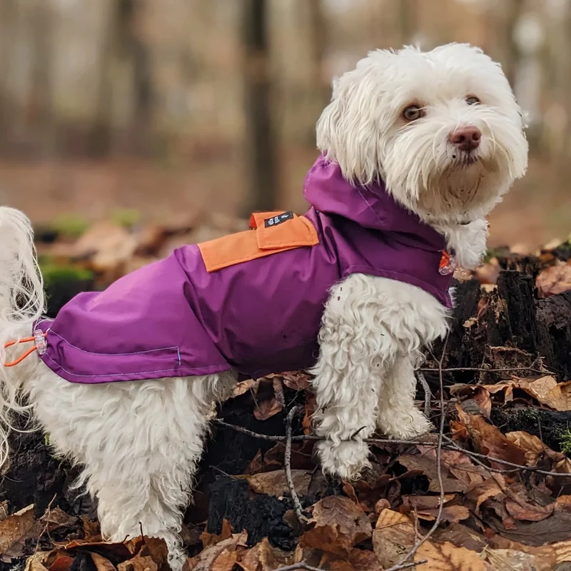 Imperméable tricolore avec capuche