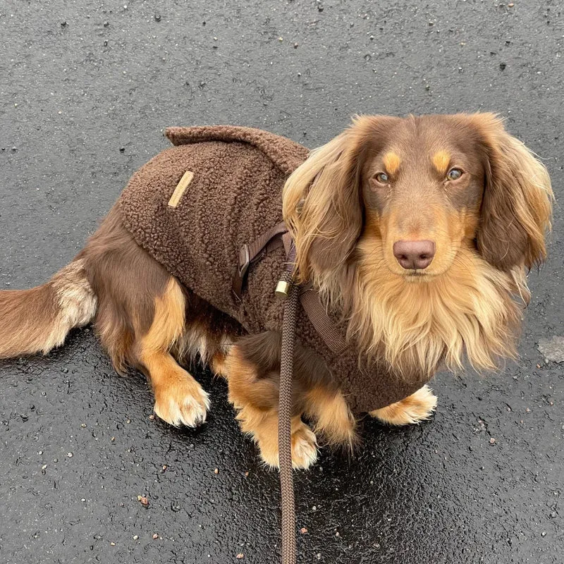 Manteau Teddy avec harnais intégré