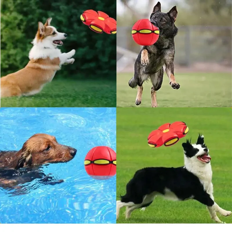 UFO Transforming Dog Frisbee Ball
