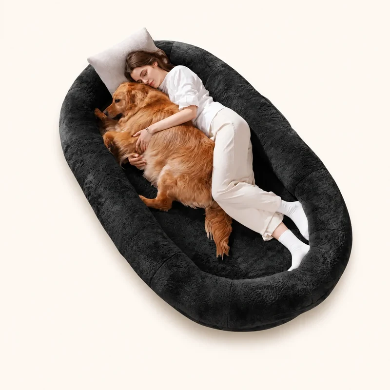 Human-Sized Dog Bed for You and Your Pet