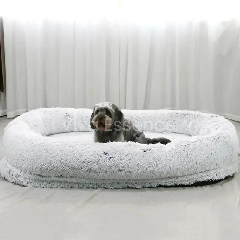 Human-Sized Dog Bed for You and Your Pet