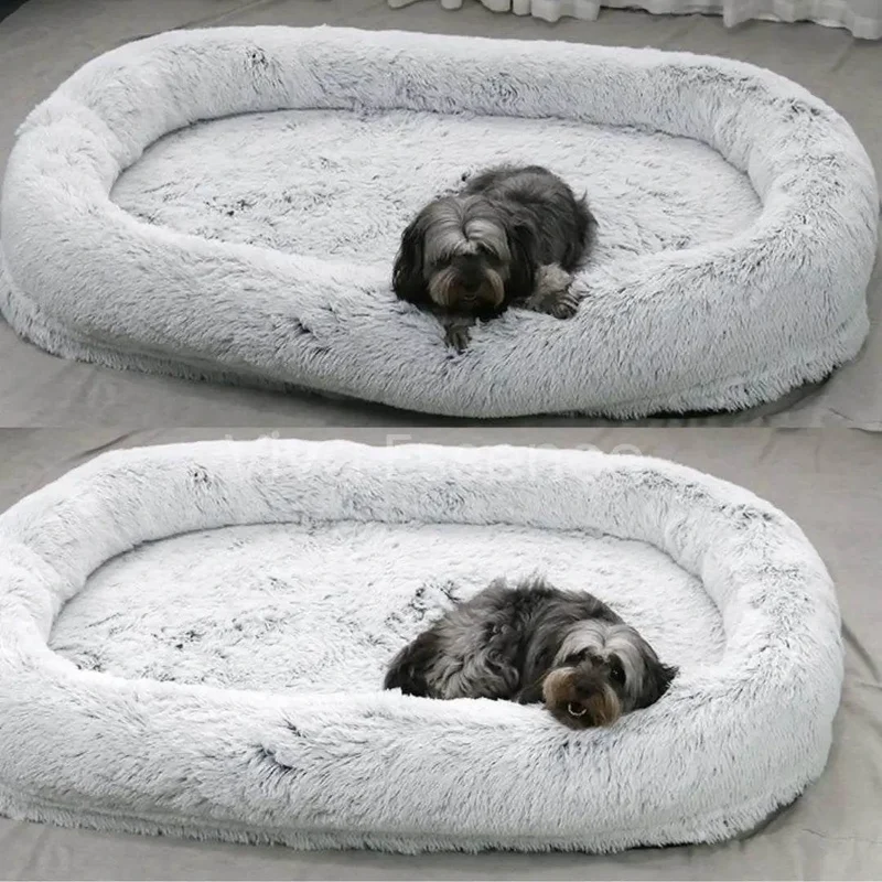 Human-Sized Dog Bed for You and Your Pet