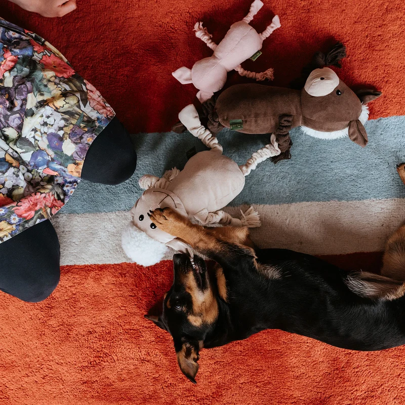 Hundespielzeug Alma