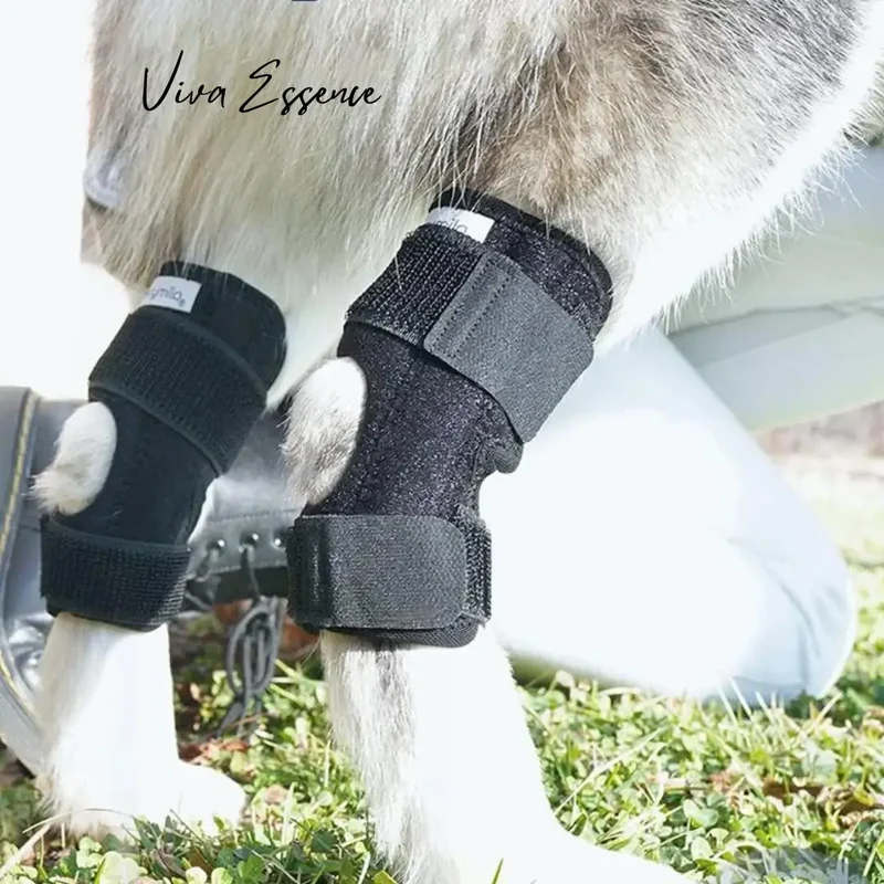 ProCare Canine Hock Brace for Joint Support