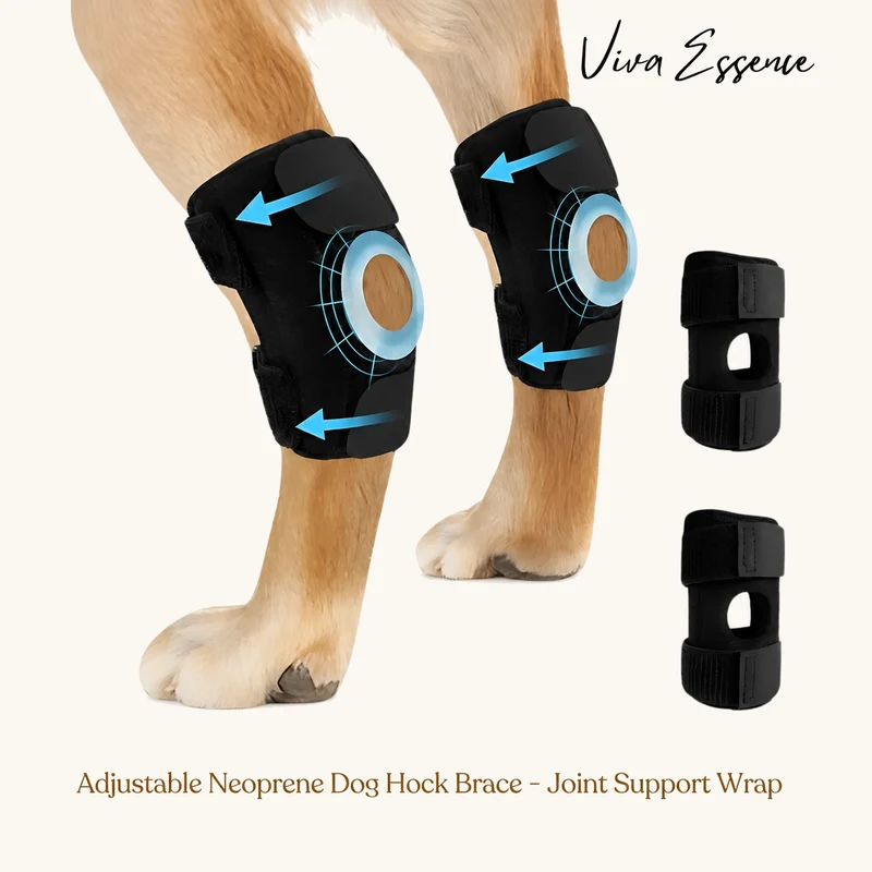 ProCare Canine Hock Brace for Joint Support
