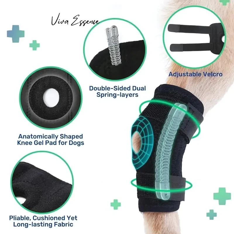 ProCare Canine Hock Brace for Joint Support