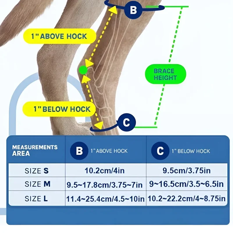 ProCare Canine Hock Brace for Joint Support