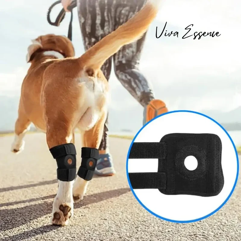 ProCare Canine Hock Brace for Joint Support