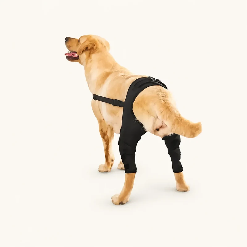 ProCare Canine Knee & Leg Brace
