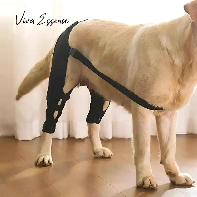 ProCare Canine Knee & Leg Brace