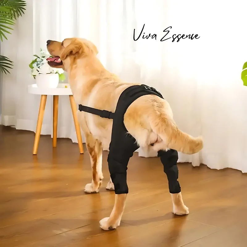 ProCare Canine Knee & Leg Brace