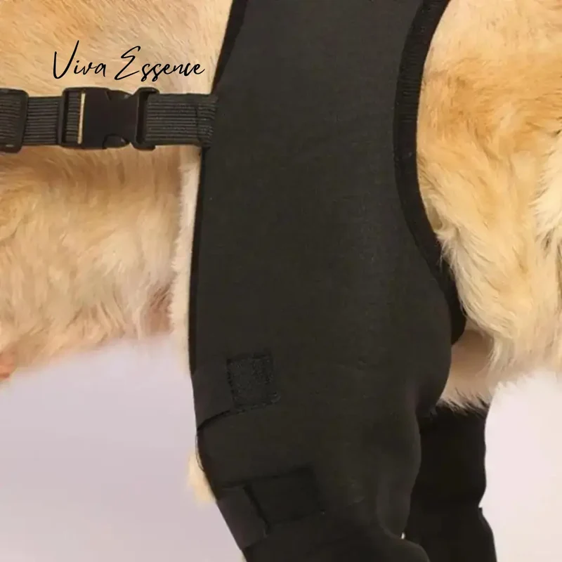 ProCare Canine Knee & Leg Brace