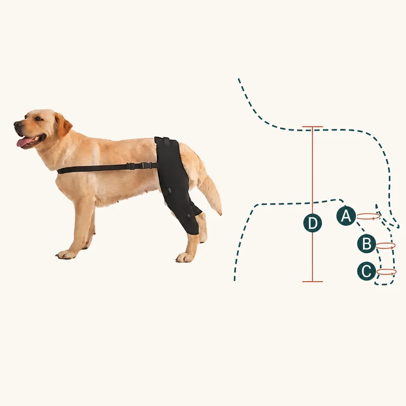 ProCare Canine Knee & Leg Brace