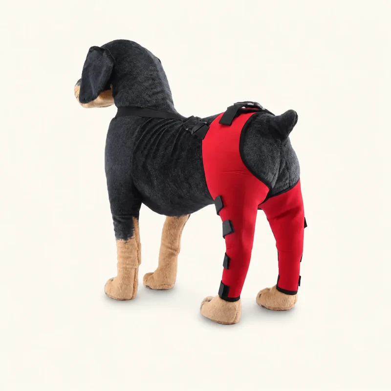 ProCare Adjustable Dog Leg Brace