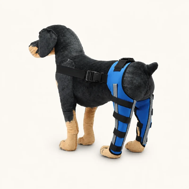 ProCare Adjustable Dog Leg Brace