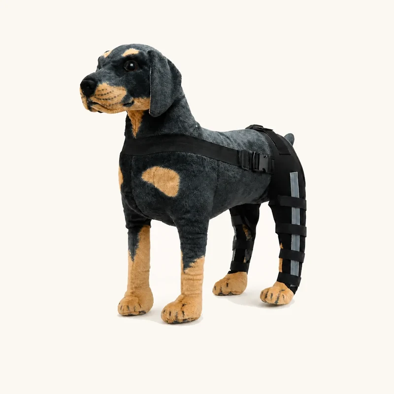 ProCare Adjustable Dog Leg Brace
