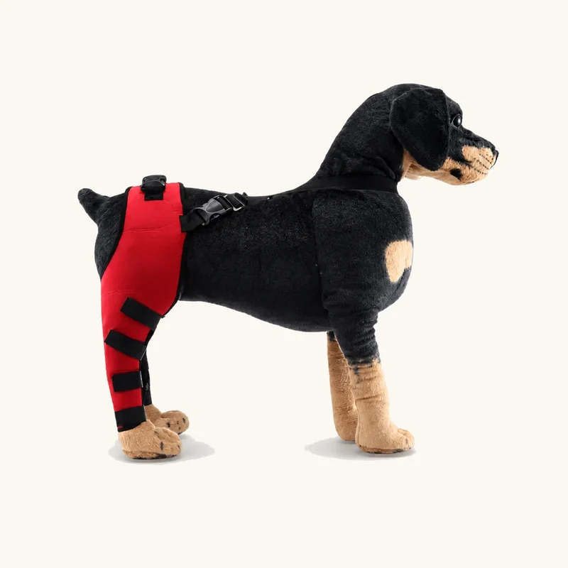 ProCare Adjustable Dog Leg Brace
