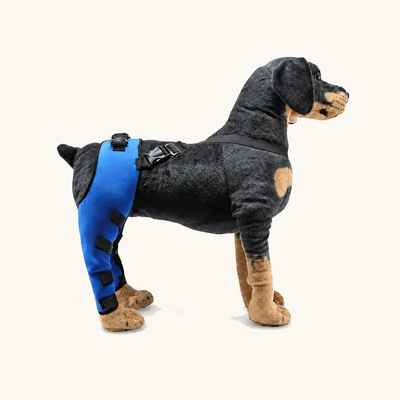 ProCare Adjustable Dog Leg Brace