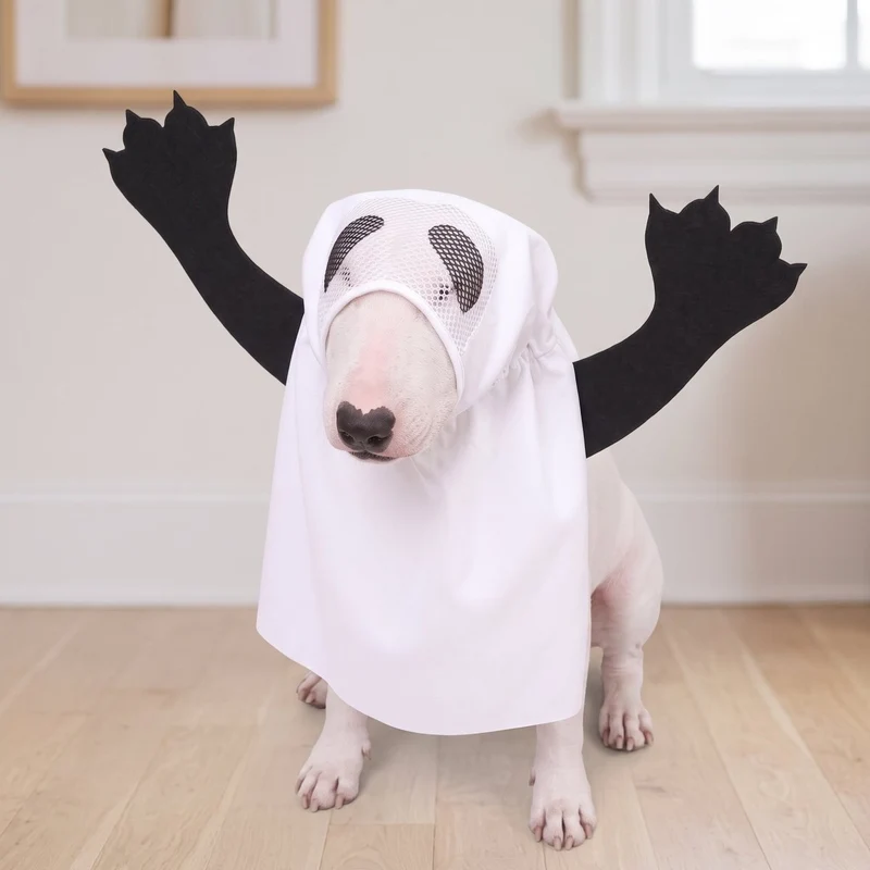 Bull Terrier Ghost Costume