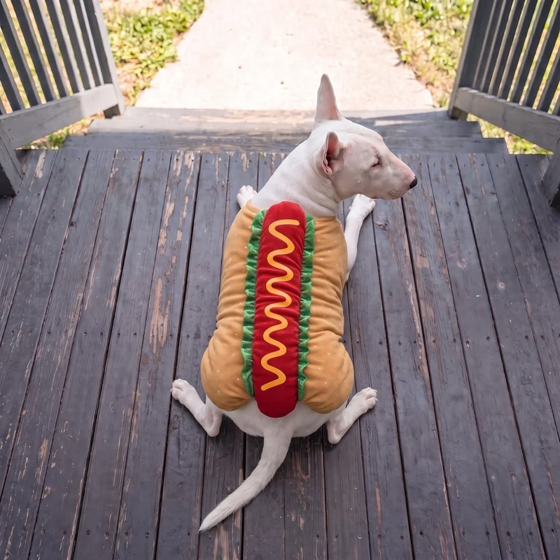 Bull Terrier Hot Dog Costume
