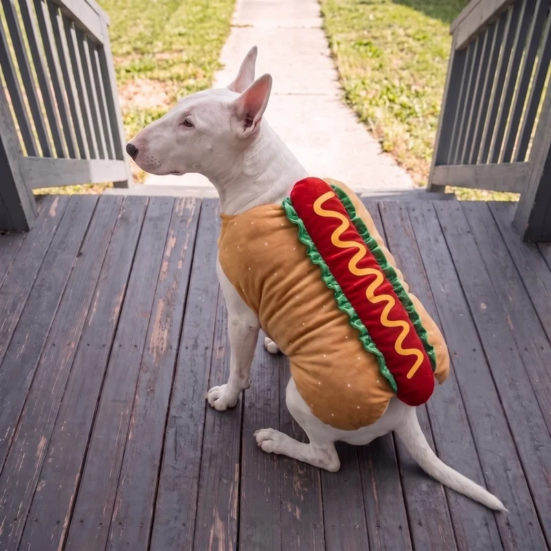 Bull Terrier Hot Dog Costume