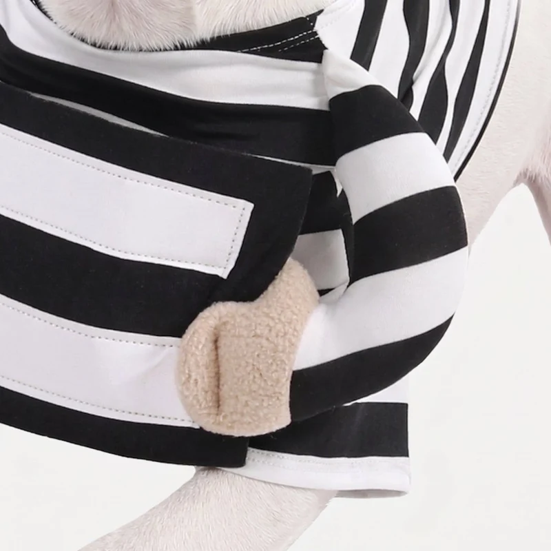 Prisoner Bull Terrier Halloween Costume