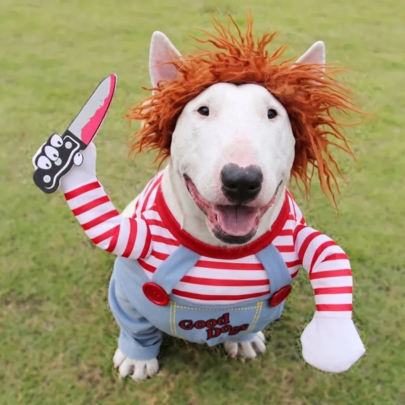 Chucky Bull Terrier Halloween Costume