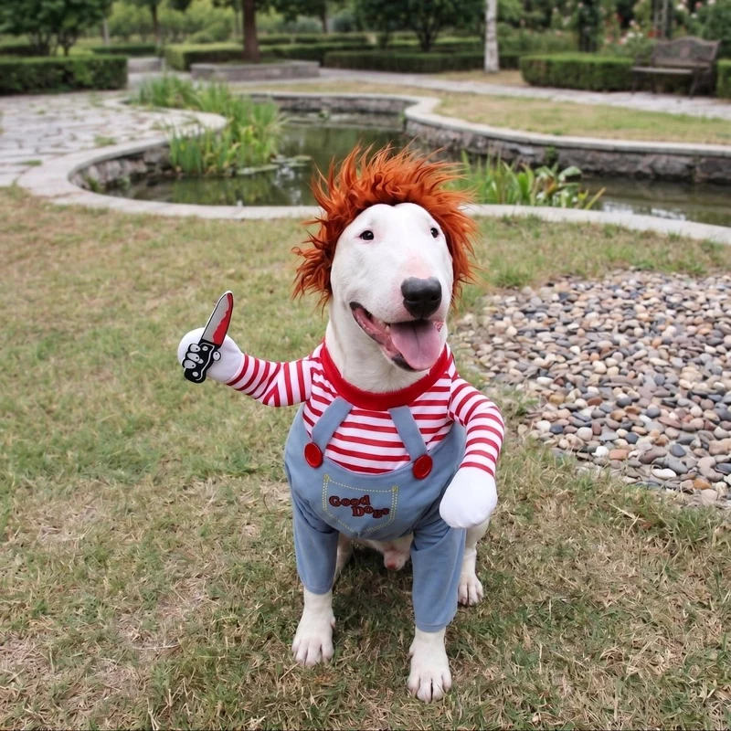 Chucky Bull Terrier Halloween Costume