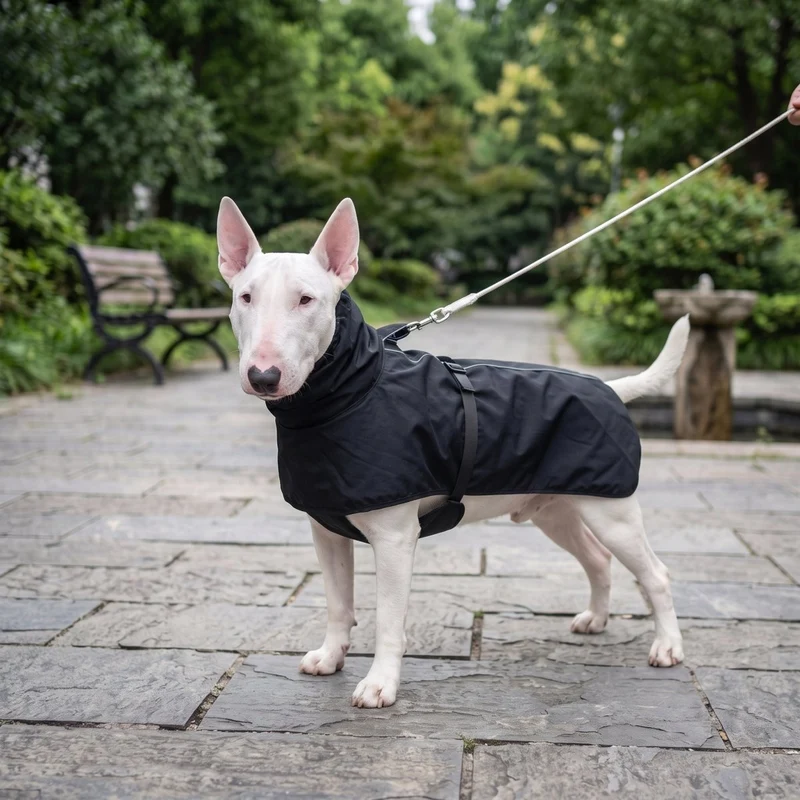 High-Neck Reflective Dog Raincoat
