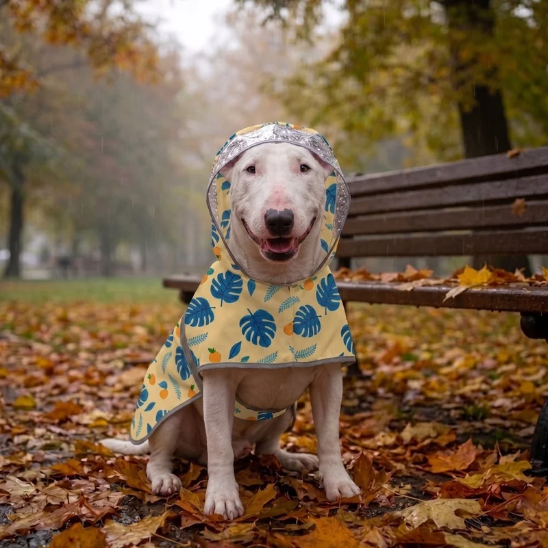 Colorful Dog Raincoat