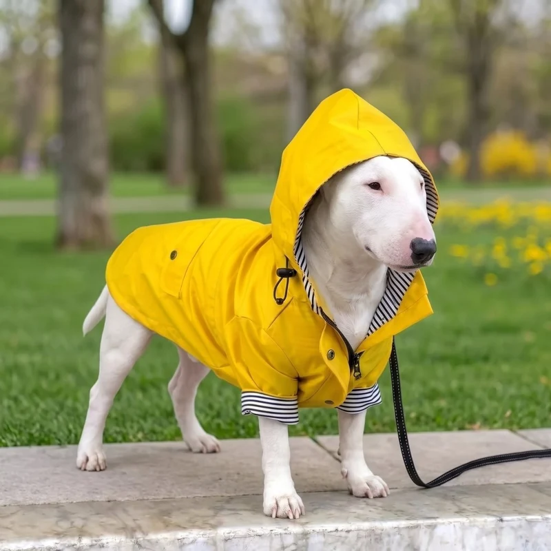 Hooded Dog Raincoat