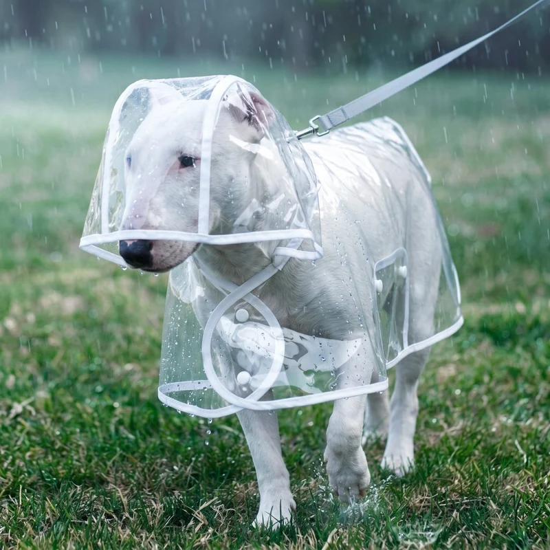 Transparent Dog Raincoat
