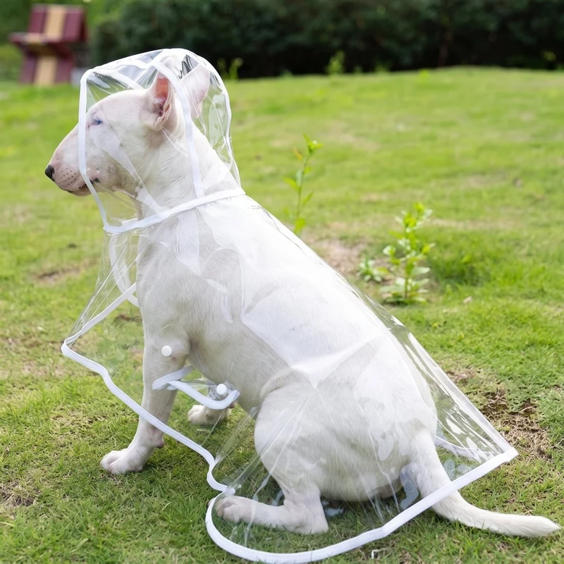 Transparent Dog Raincoat