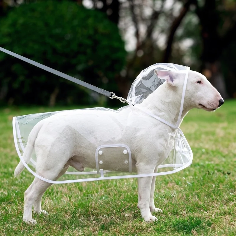 Transparent Dog Raincoat